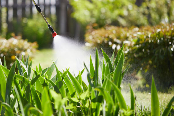 24/7 Emergency Termite Control experts in Tooele, UT