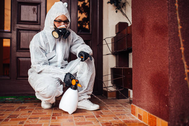 Reliable Termite Control contractor in Tooele, UT by Nex Pest Control